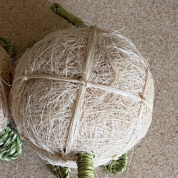 NWOT Handcrafted Natural Materials Turtle Loofas - Picture 9 of 14